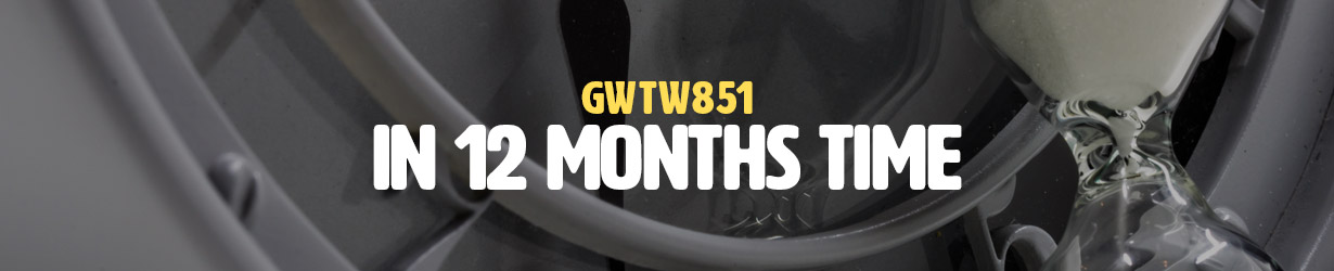 In 12 Months Time (GWTW851)