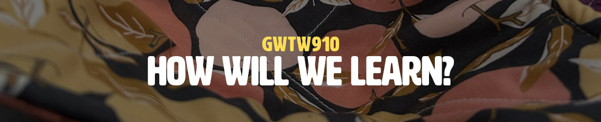 How Will We Learn? (GWTW910)